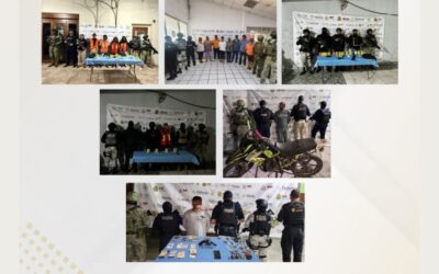 Fiscalía de Veracruz detiene a 45 personas y rescata 8 caninos en una semana en 28 municipios