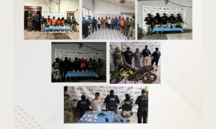 Fiscalía de Veracruz detiene a 45 personas y rescata 8 caninos en una semana en 28 municipios