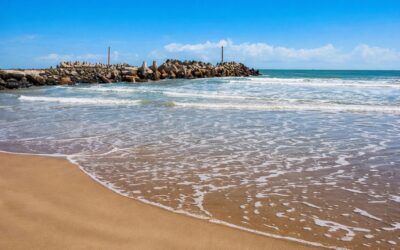 Playas de Tuxpan, listas y en óptimas condiciones para Semana Santa