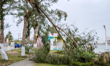 Protección Civil y Bomberos atienden reportes en Tuxpan por efectos del Frente Frío 41