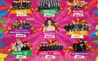 ¡No te pierdas la Feria y Carnaval Tantoyuca 2026!