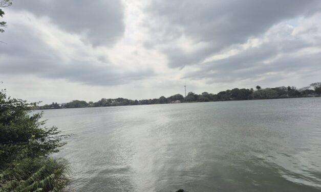 Alerta Gris en Veracruz: Surada, calor extremo y frente frío