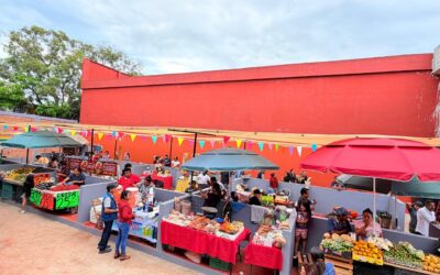 Daniel Cortina cumple compromiso y ordena el centro de Tuxpan con nuevo Mercado Ambulante