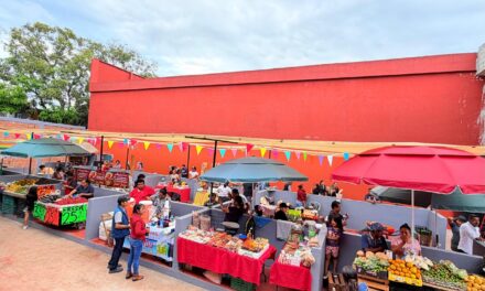 Daniel Cortina cumple compromiso y ordena el centro de Tuxpan con nuevo Mercado Ambulante