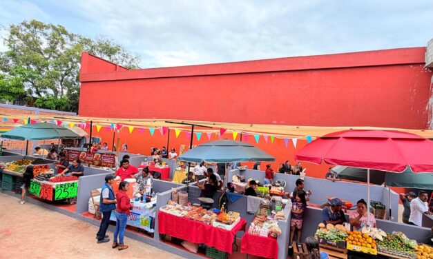 Daniel Cortina cumple compromiso y ordena el centro de Tuxpan con nuevo Mercado Ambulante