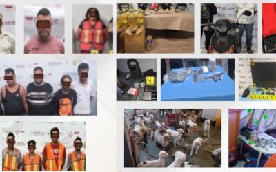 Operativo coordinado en 38 municipios de Veracruz deja 30 capturas y armas aseguradas