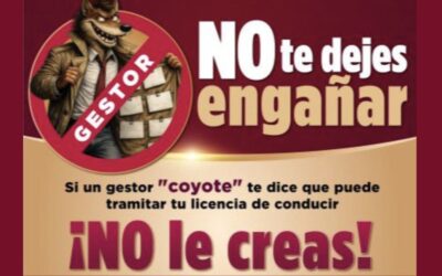 SSP alerta sobre fraudes en licencias de conducir; detectan sitios web falsos y «coyotaje»