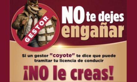 SSP alerta sobre fraudes en licencias de conducir; detectan sitios web falsos y «coyotaje»