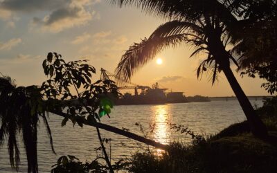 Vuelve el bochorno a Veracruz; el jueves inicia evento de «Surada» en el estado