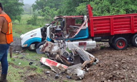 Volcadura de camión de carga deja un lesionado de consideración en Tihuatlán