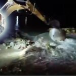 Álamo: Identifican a hombre localizado sin vida en el río Tuxpan