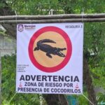 Naranjos Amatlán: Instalan anuncios de advertencia por presencia de cocodrilos en el río Tancochín
