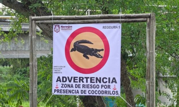 Naranjos Amatlán: Instalan anuncios de advertencia por presencia de cocodrilos en el río Tancochín