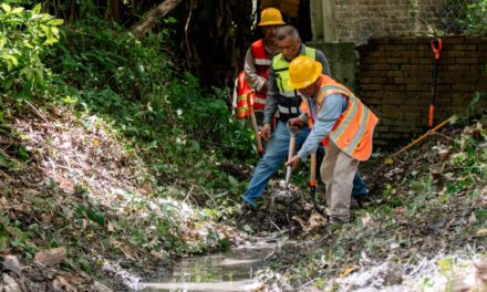 20 años sin atención: Gobierno de Tuxpan inicia “Programa de Limpieza Manual de Drenes Pluviales”