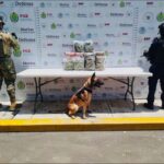 Operativo encabezado por SSP y FGE, con apoyo de fuerzas federales, asegura más de 54 kilos de presunta marihuana y 30 mil litros de hidrocarburo