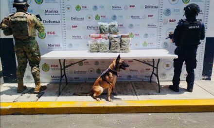 Operativo encabezado por SSP y FGE, con apoyo de fuerzas federales, asegura más de 54 kilos de presunta marihuana y 30 mil litros de hidrocarburo