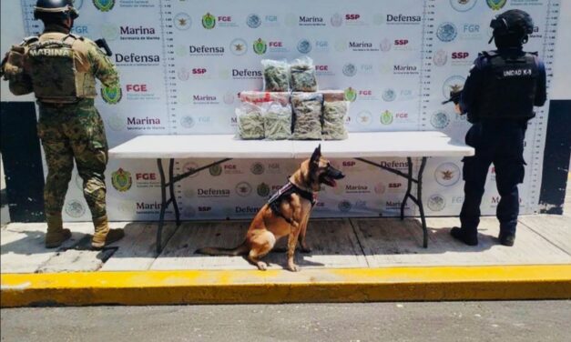 Operativo encabezado por SSP y FGE, con apoyo de fuerzas federales, asegura más de 54 kilos de presunta marihuana y 30 mil litros de hidrocarburo
