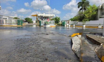 Miles de litros de agua se desperdician por fuga frente al Mercado Los Portales; ciudadanos piden intervención urgente de la CAEV
