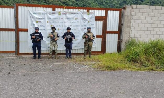Golpe a la delincuencia en 37 municipios de Veracruz: 45 detenidos, drogas y rescate de víctimas