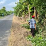 Faenas comunitarias para la rehabilitación de caminos en Cazones