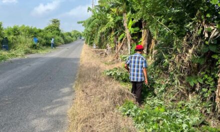 Faenas comunitarias para la rehabilitación de caminos en Cazones