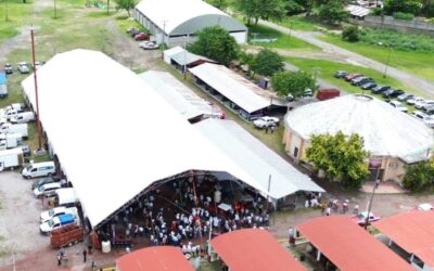 Con apoyo del Estado, inició en Tantoyuca el Tianguis Ganadero con más de 200 ejemplares exhibidos