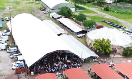 Con apoyo del Estado, inició en Tantoyuca el Tianguis Ganadero con más de 200 ejemplares exhibidos