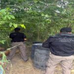 Aseguran 1,500 litros de hidrocarburo tras cateo de la FGR en Pánuco