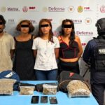 Fuerzas de seguridad golpean a presuntos grupos delictivos; caen 44 en Veracruz