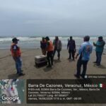 Rescatan a pelícano enfermo en playa de Barra de Cazones