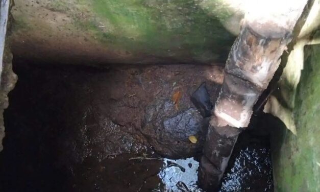 Chicontepec: Investigan posible caso de histoplasmosis tras faena comunitaria en Tlacolula