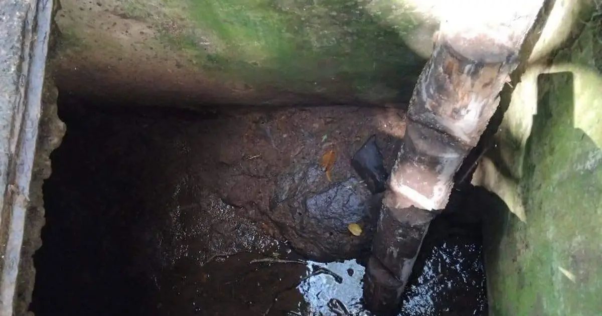 Chicontepec: Investigan posible caso de histoplasmosis tras faena comunitaria en Tlacolula