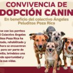 Invitan a Convivencia de Adopción Canina en Poza Rica