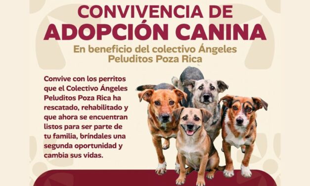 Invitan a Convivencia de Adopción Canina en Poza Rica