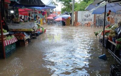 ¡Otra vez bajo el agua! Media hora de lluvia vuelve a inundar el centro de Álamo