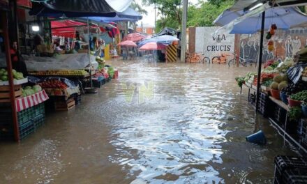 ¡Otra vez bajo el agua! Media hora de lluvia vuelve a inundar el centro de Álamo