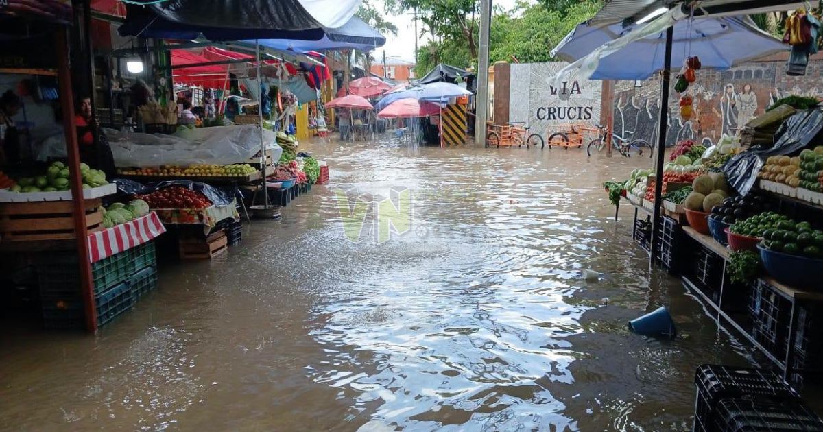 ¡Otra vez bajo el agua! Media hora de lluvia vuelve a inundar el centro de Álamo
