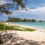 PMA y CONANP coordinan acciones para la conservación de Isla Lobos en Tuxpan