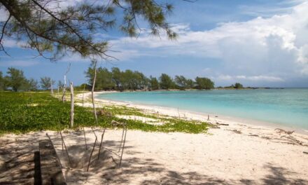 PMA y CONANP coordinan acciones para la conservación de Isla Lobos en Tuxpan
