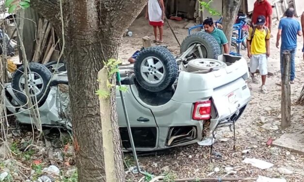 Vuelca vehículo tras esquivar a un perro en la carretera de Álamo