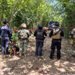 Cateo en Tempoal deja 59 mil 400 dosis, armas y granadas aseguradas