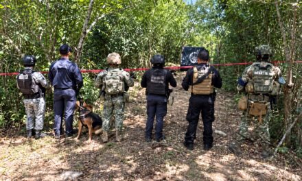Cateo en Tempoal deja 59 mil 400 dosis, armas y granadas aseguradas