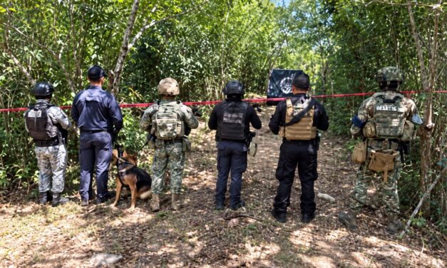 Cateo en Tempoal deja 59 mil 400 dosis, armas y granadas aseguradas