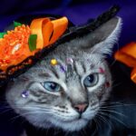 TUXPAN: HUELLITAS DEL MICTLÁN LLENÓ DE COLOR Y TRADICIÓN EL PARQUE REFORMA